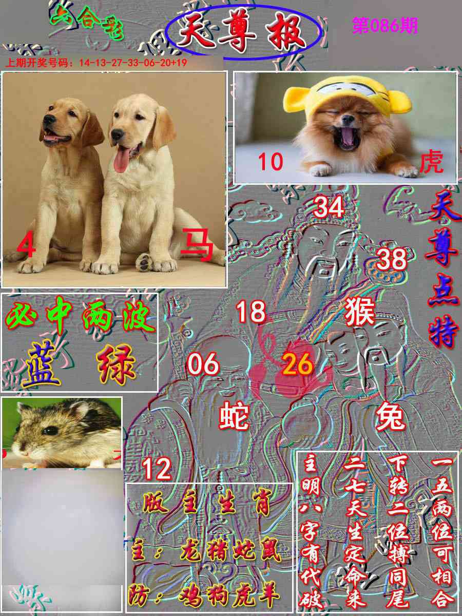 086期天尊报[图]